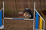 wedstrijd agility friends zaterdag