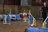 wedstrijd agility friends zaterdag