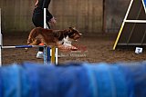 wedstrijd agility friends zaterdag