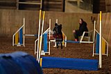 wedstrijd agility friends zaterdag