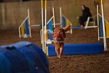 wedstrijd agility friends zaterdag