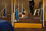 wedstrijd agility friends zaterdag