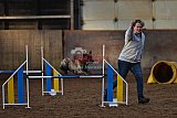 wedstrijd agility friends zaterdag