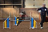 wedstrijd agility friends zaterdag