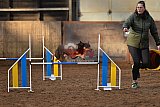 wedstrijd agility friends zaterdag
