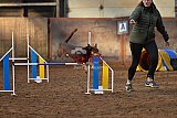 wedstrijd agility friends zaterdag