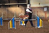 wedstrijd agility friends zaterdag