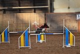 wedstrijd agility friends zaterdag