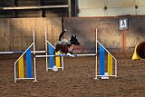 wedstrijd agility friends zaterdag