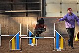 wedstrijd agility friends zaterdag