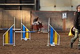 wedstrijd agility friends zaterdag