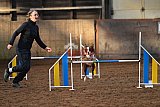 wedstrijd agility friends zaterdag