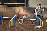 wedstrijd agility friends zaterdag