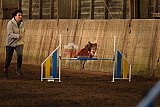 wedstrijd agility friends zaterdag