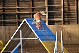 wedstrijd agility friends zaterdag