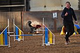 wedstrijd agility friends zaterdag