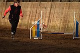 wedstrijd agility friends zaterdag