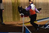 wedstrijd agility friends zaterdag