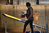 wedstrijd agility friends zaterdag