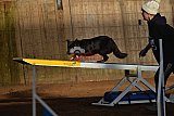 wedstrijd agility friends zaterdag
