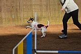 wedstrijd agility friends zaterdag