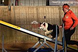 wedstrijd agility friends zaterdag