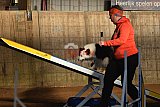 wedstrijd agility friends zaterdag