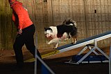 wedstrijd agility friends zaterdag