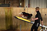 wedstrijd agility friends zaterdag