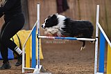 wedstrijd agility friends zaterdag