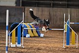 wedstrijd agility friends zaterdag