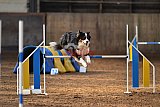 wedstrijd agility friends zaterdag