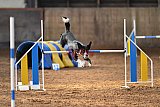 wedstrijd agility friends zaterdag