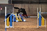 wedstrijd agility friends zaterdag