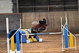 wedstrijd agility friends zaterdag