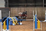 wedstrijd agility friends zaterdag