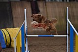 wedstrijd agility friends zaterdag