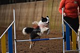 wedstrijd agility friends zaterdag