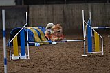 wedstrijd agility friends zaterdag