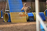 wedstrijd agility friends zondag