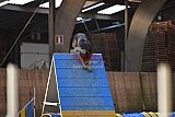 wedstrijd agility friends zondag