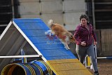 wedstrijd agility friends zondag
