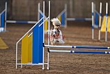 wedstrijd agility friends zondag