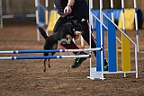 wedstrijd agility friends zondag