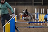 wedstrijd agility friends zondag