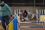 wedstrijd agility friends zondag