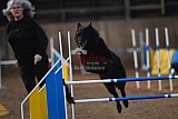 wedstrijd agility friends zondag