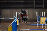 wedstrijd agility friends zondag