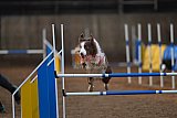 wedstrijd agility friends zondag