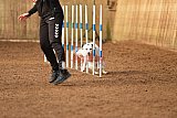 wedstrijd agility friends zondag